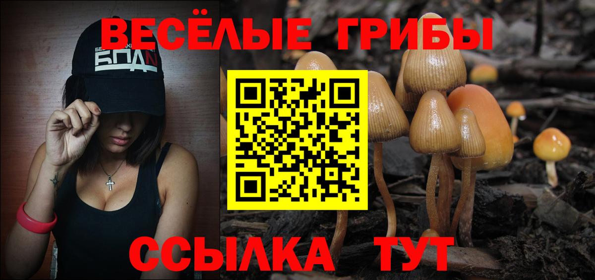 Саранск  Галлюциногенные грибы Magic Shrooms  Вход с VPN 